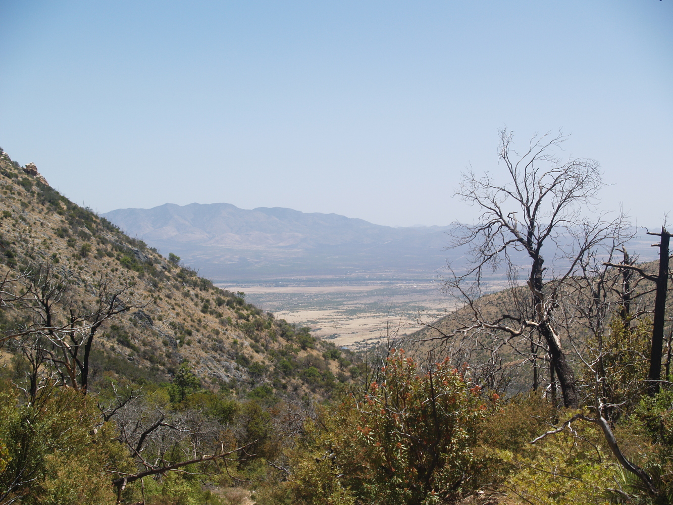 1/4 of the way up Miller's Peak, looking down