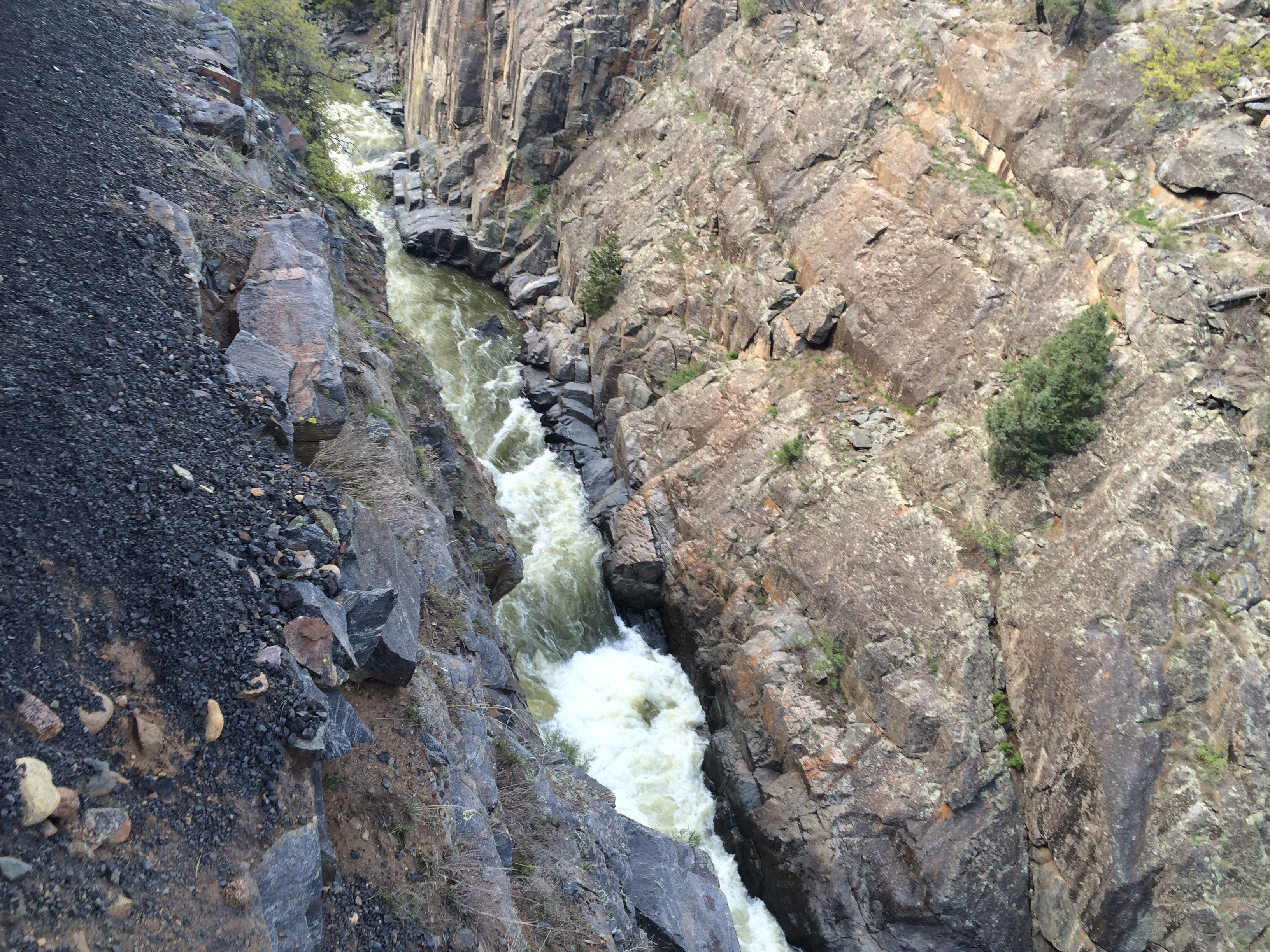 Animas River In Gorge