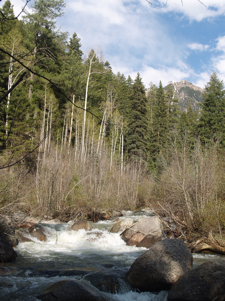 Needle Creek at Sunset 1