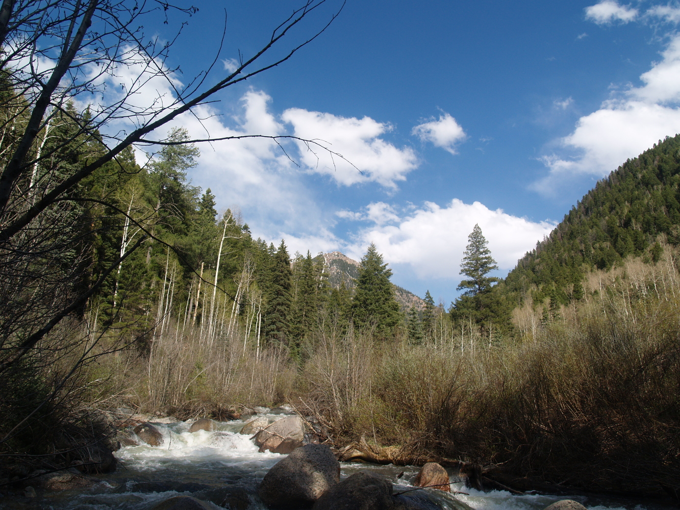 Needle Creek at Sunset 2