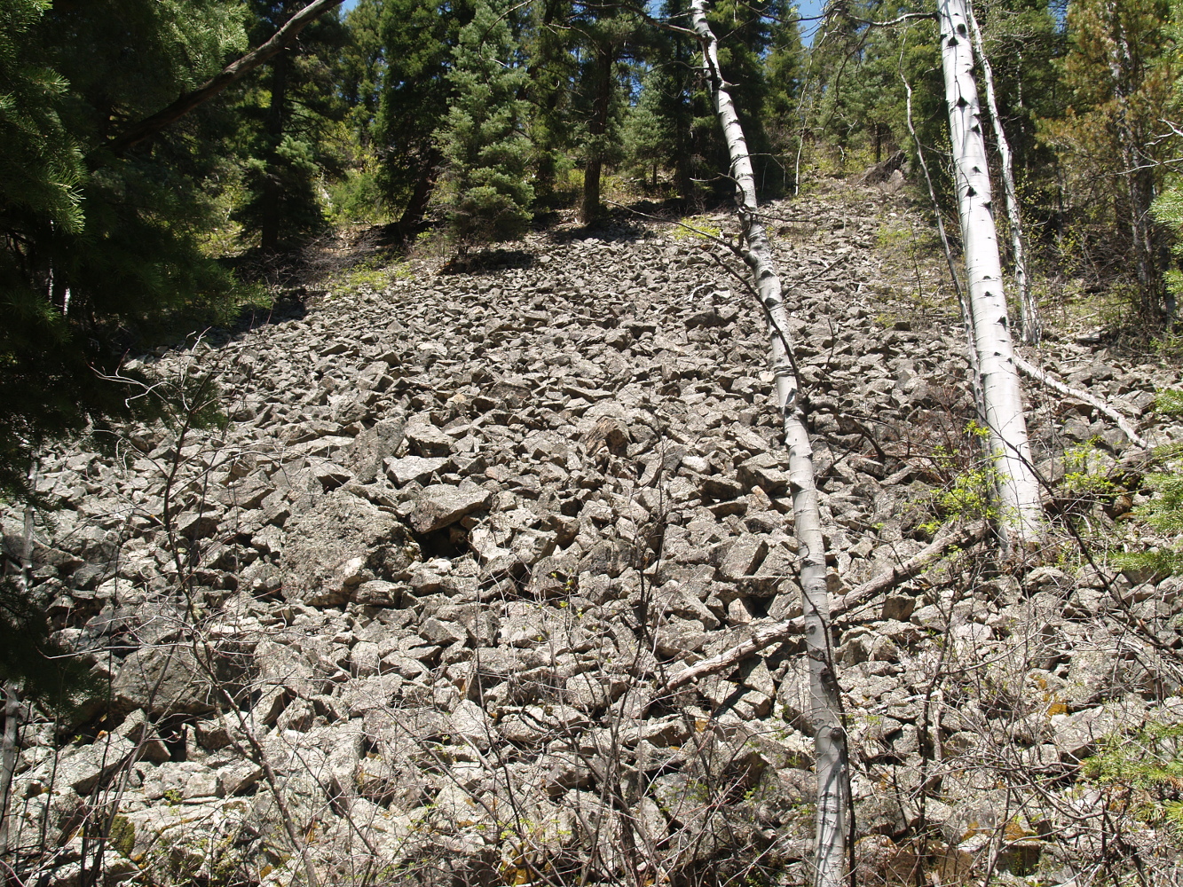 Rockslide nearby and uphill from my camp on Needle Creek