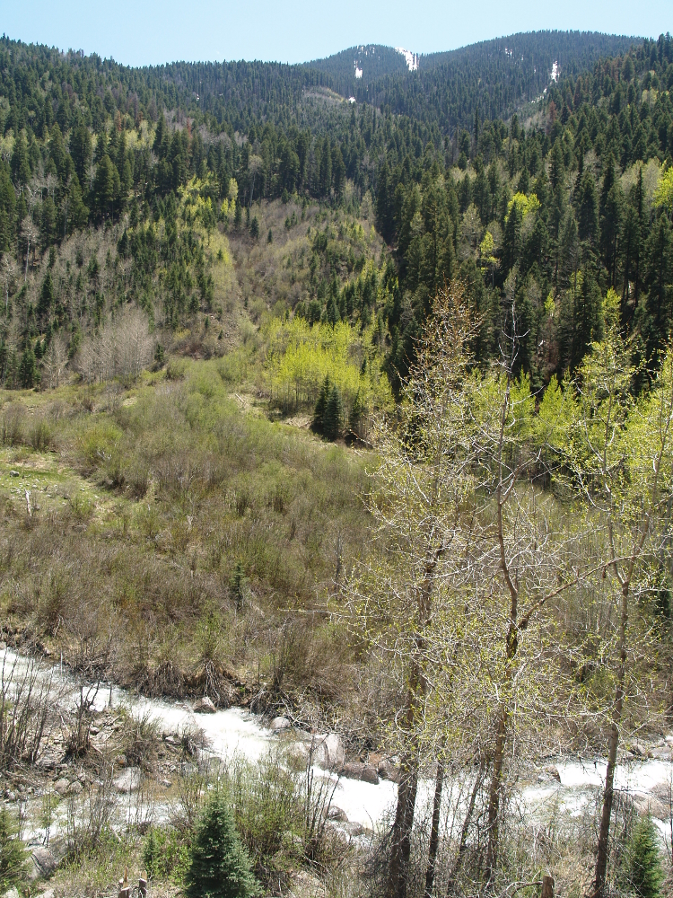 Needle Creek from the trail, about 200 feet from camp
